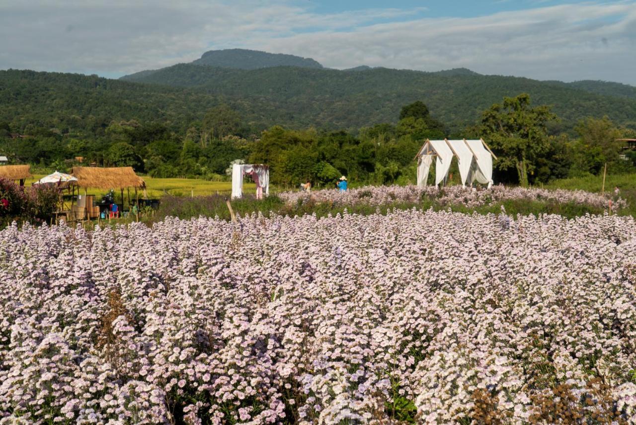 Mae Rim Grace Villa Buitenkant foto